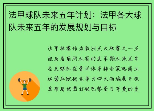 法甲球队未来五年计划：法甲各大球队未来五年的发展规划与目标
