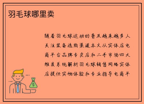 羽毛球哪里卖